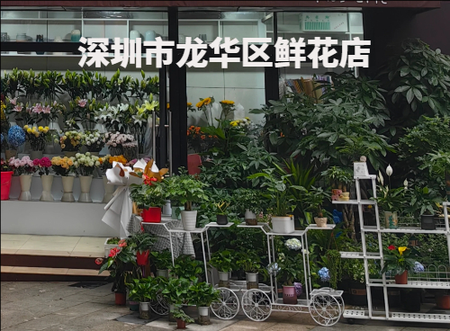 深圳市龙华区鲜花店