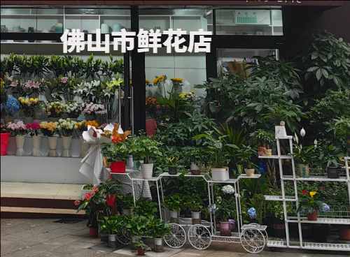 佛山市鲜花店